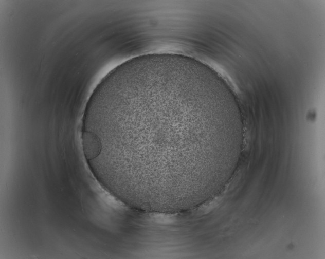 X0000101691086200807241404