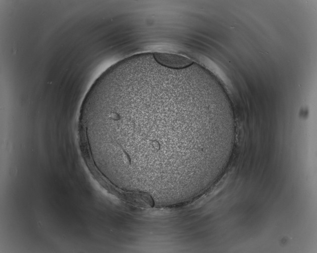 X0000101691087200807241404