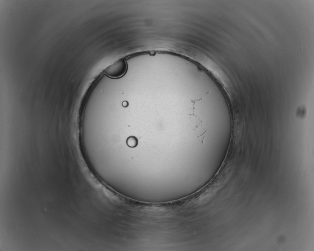 X0000101691088200807241403