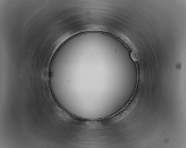 X0000101691089200807241403