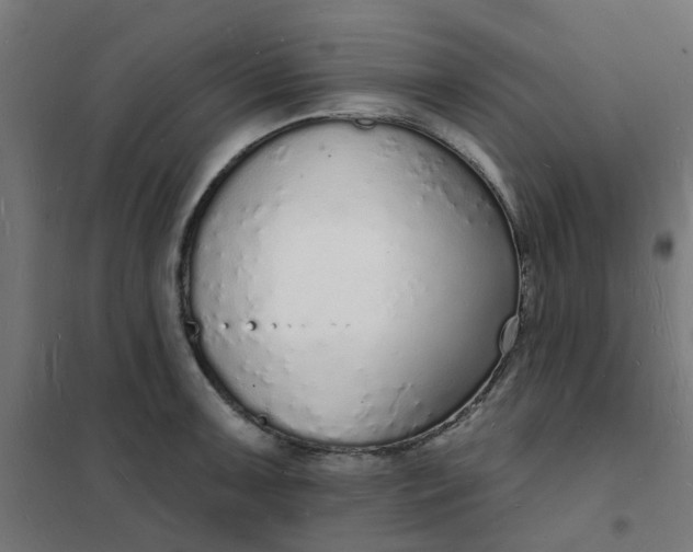 X0000101691091200807241403