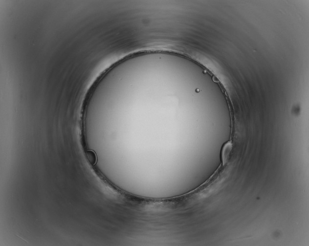 X0000101691093200807241403