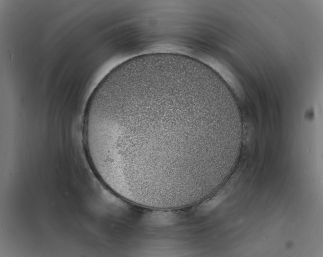 X0000101691094200807241403