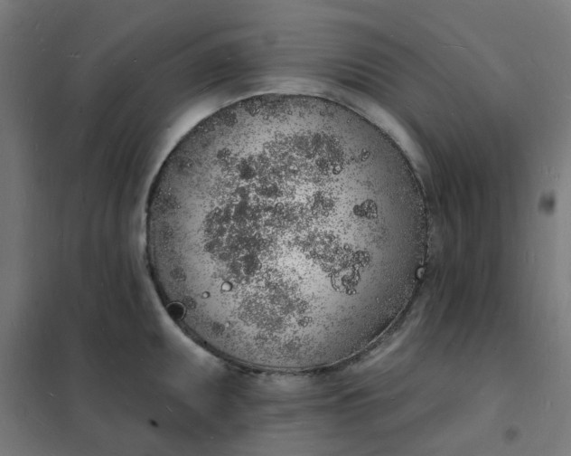 X0000101691095200807241403