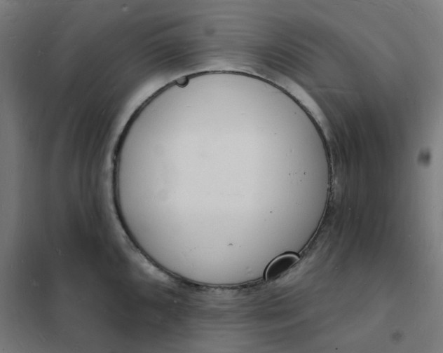 X0000101691096200807241403