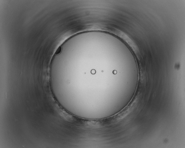 X0000101691097200807241403