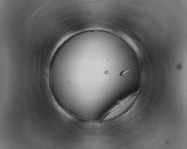 X0000101691100200807241403