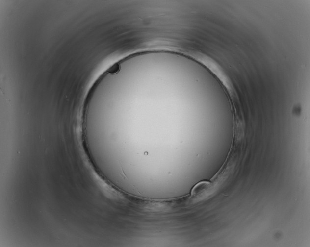 X0000101691101200807241403