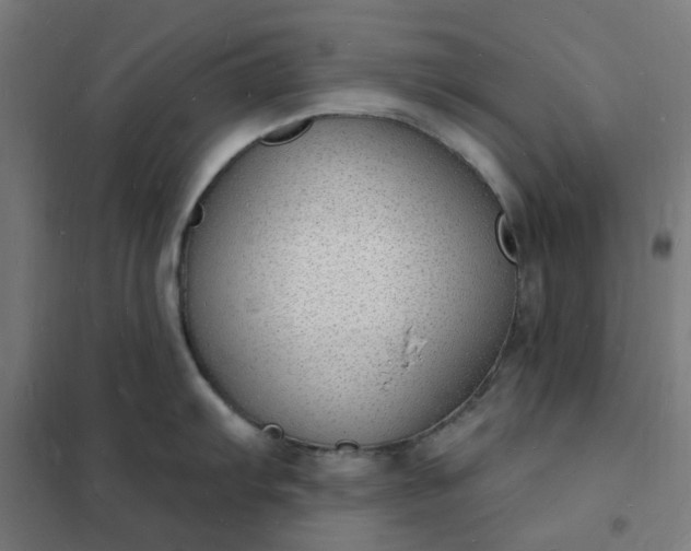 X0000101691103200807241403