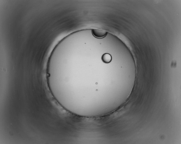 X0000101691104200807241403