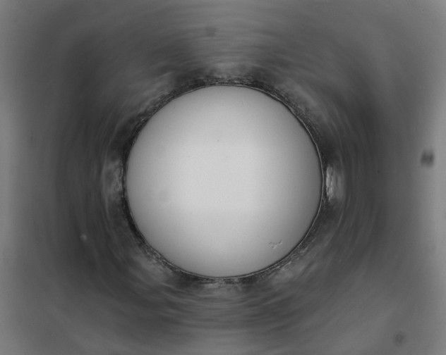 X0000101691107200807241403