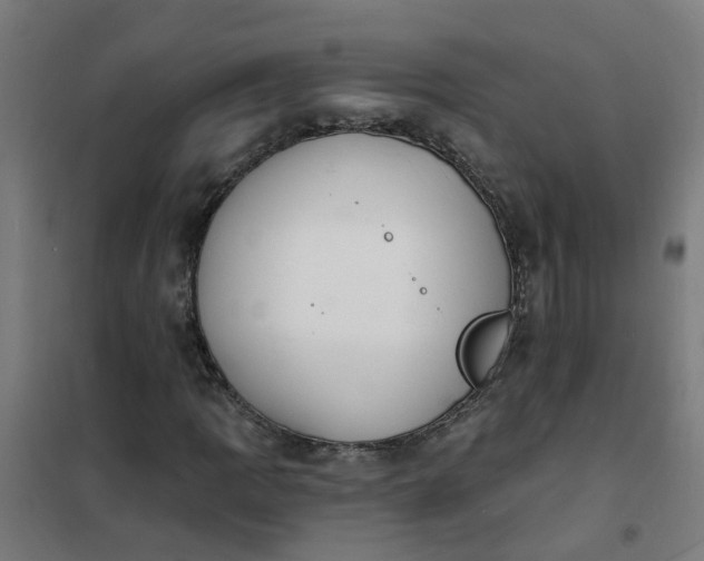 X0000101691109200807241403