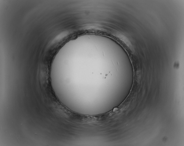 X0000101691111200807241403