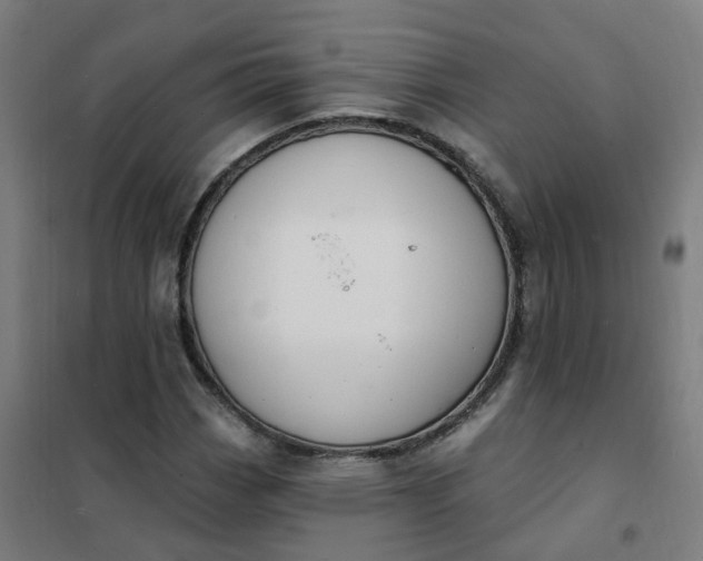 X0000101691113200807241403