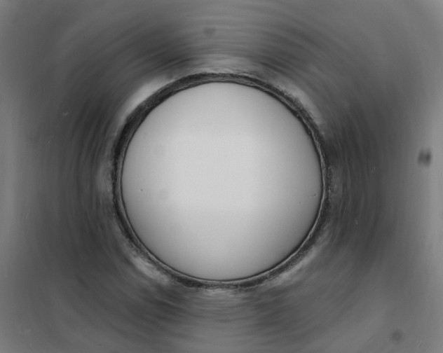 X0000101691114200807241403