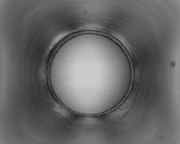 X0000101691115200807241403