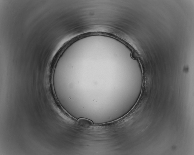 X0000101691116200807241403