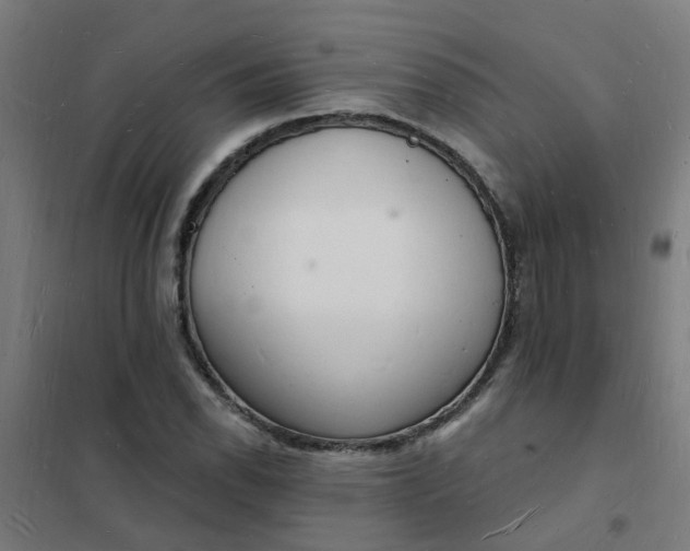 X0000101691118200807241403