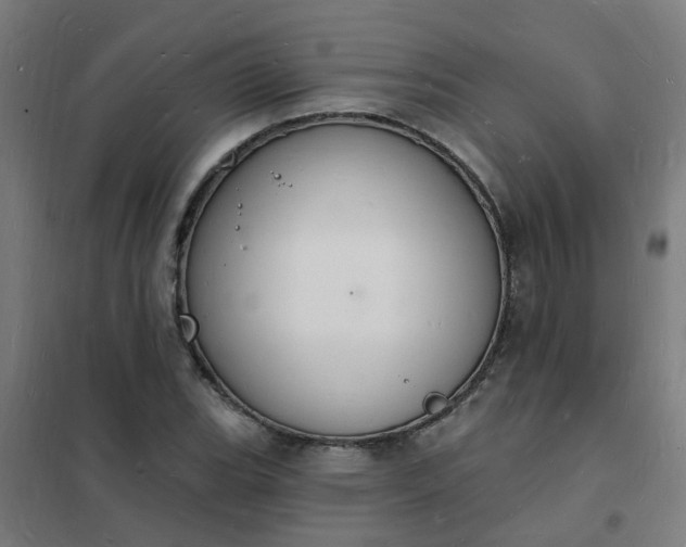 X0000101691119200807241403