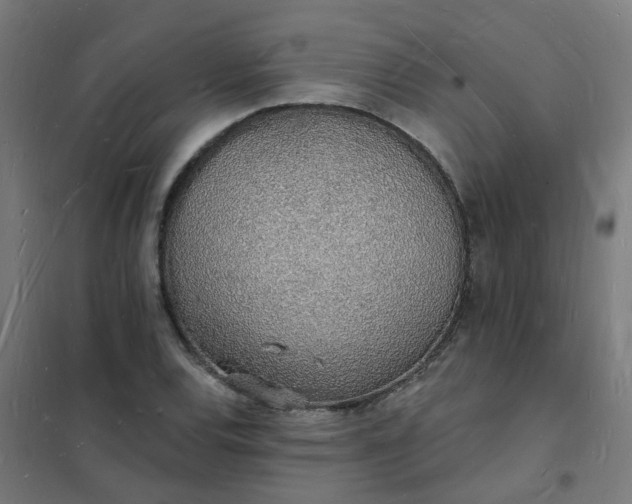 X0000101691120200807241403