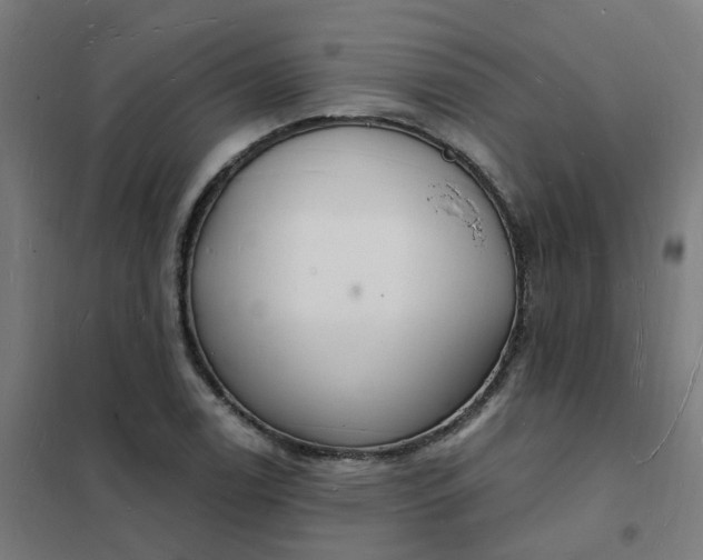 X0000101691122200807241403