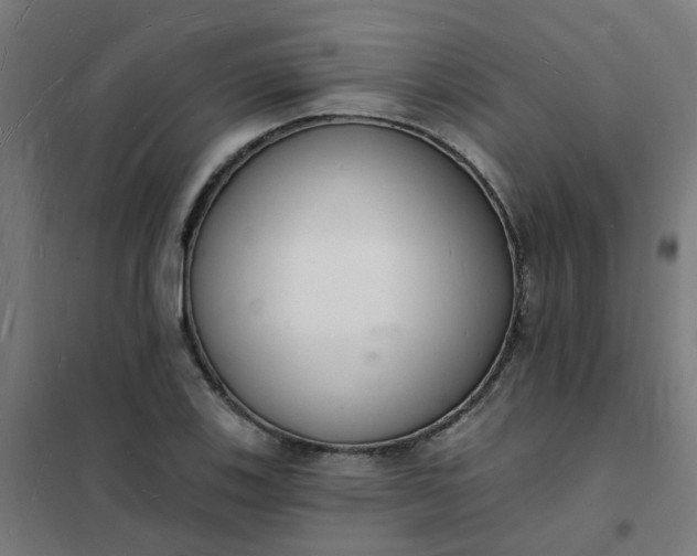 X0000101691123200807241403