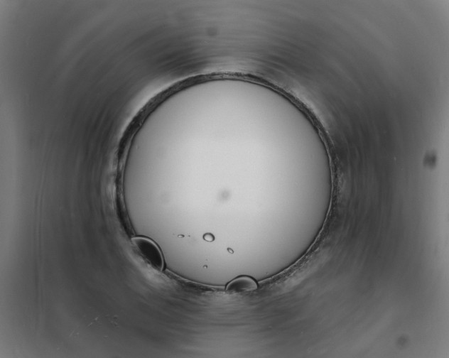 X0000101691124200807241403