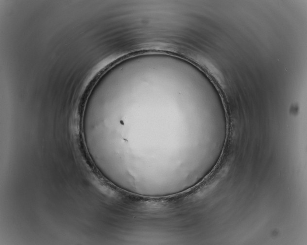 X0000101691125200807241403