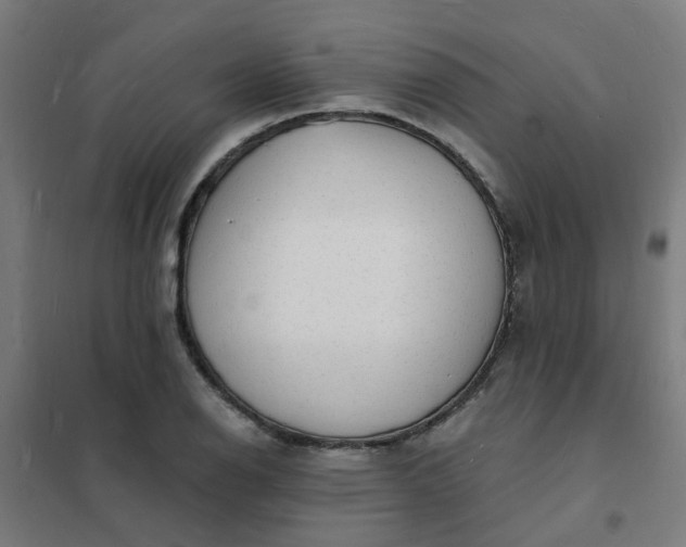 X0000101691126200807241403