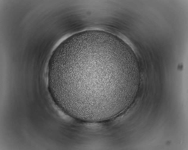 X0000101691127200807241403