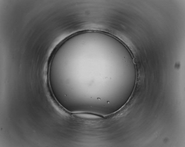 X0000101691128200807241403