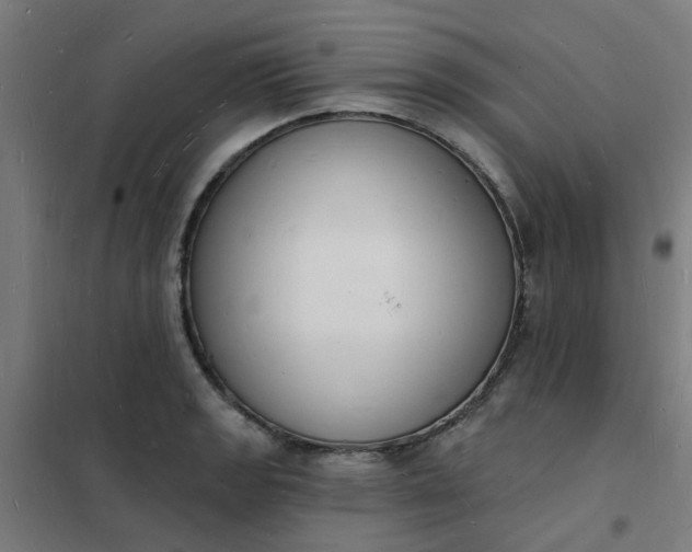 X0000101691133200807241403