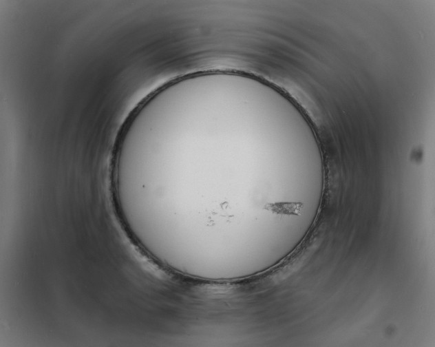 X0000101691134200807241403