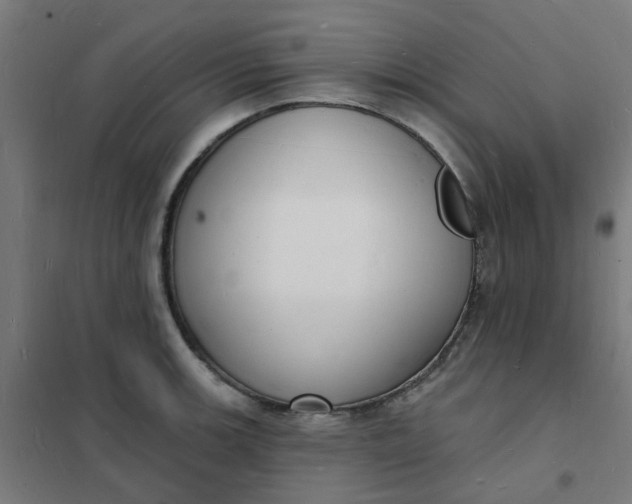 X0000101691139200807241403