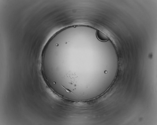 X0000101691140200807241403