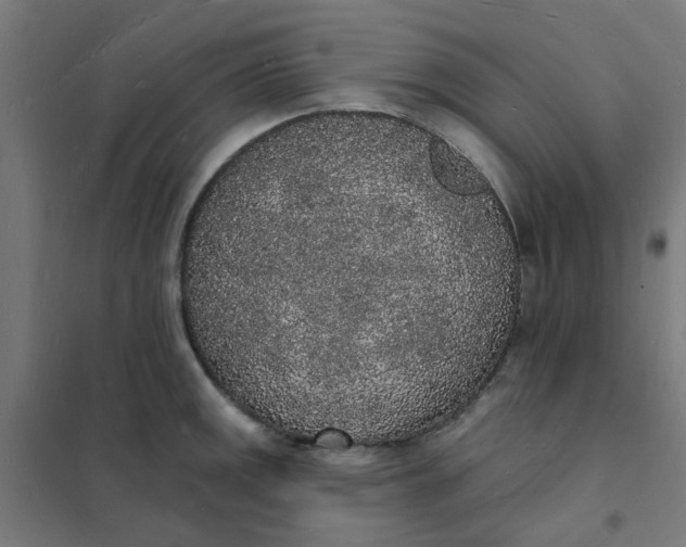 X0000101691141200807241403