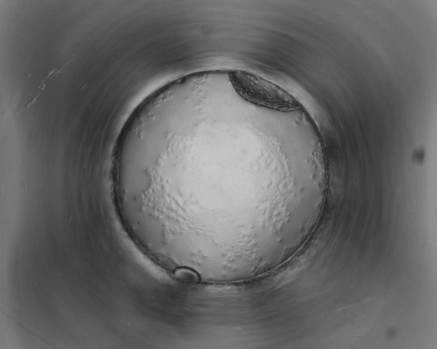 X0000101691142200807241403