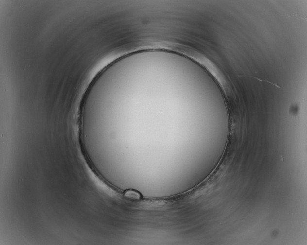 X0000101691143200807241403