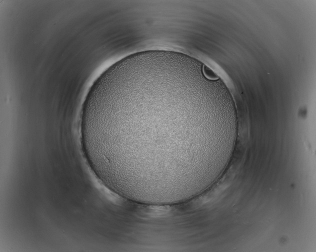 X0000101691144200807241403