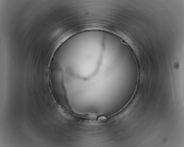 X0000101691145200807241403