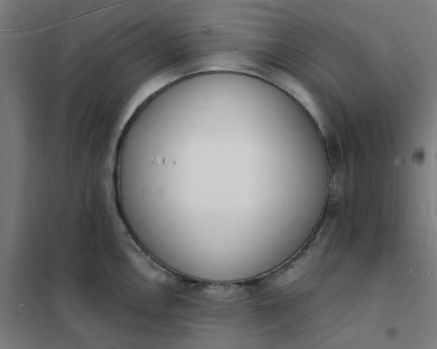 X0000101691146200807241403