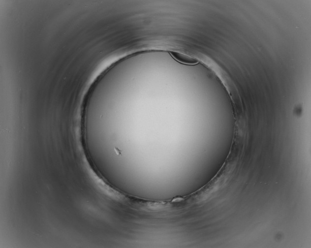 X0000101691147200807241403