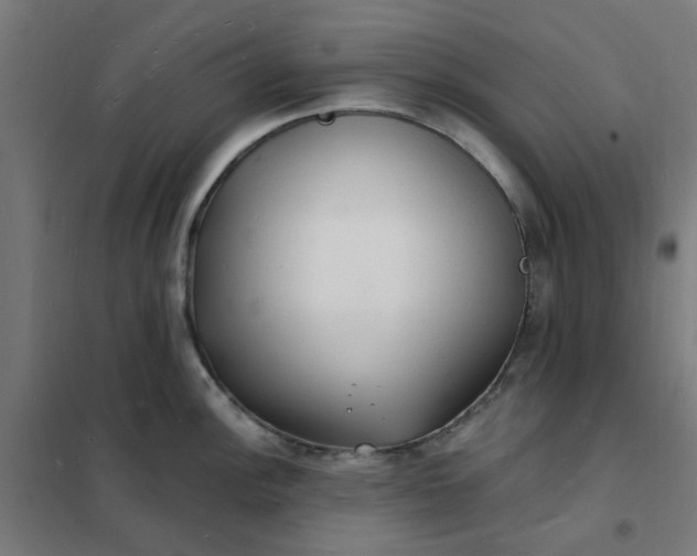 X0000101691148200807241403