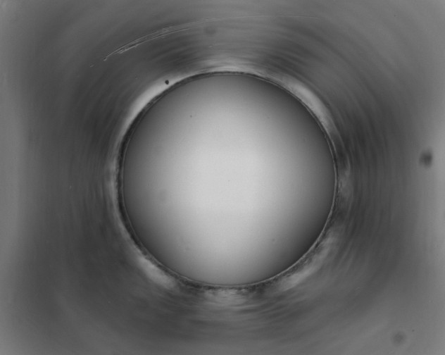 X0000101691149200807241403