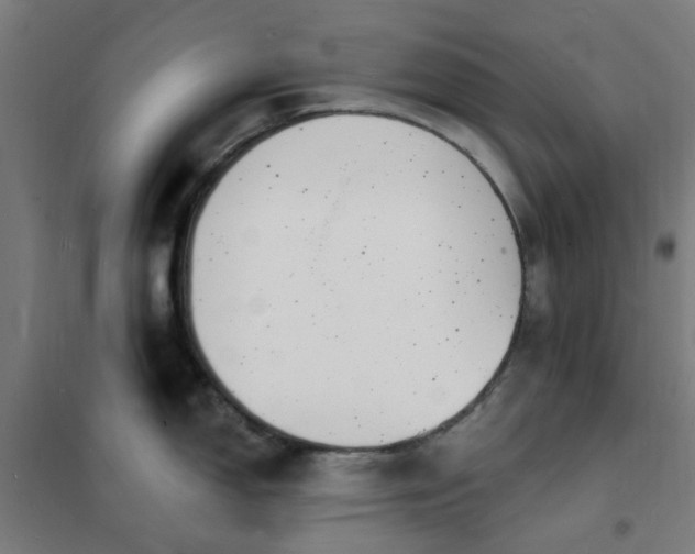 X0000101691150200807241403