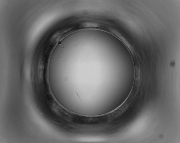 X0000101691151200807241403