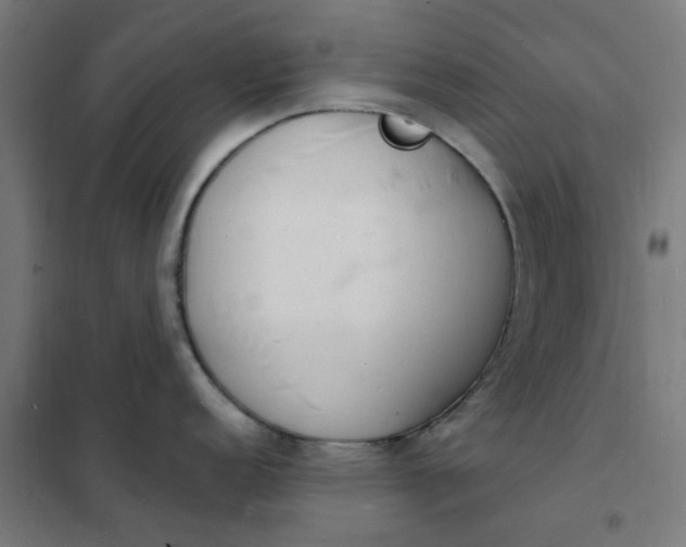 X0000101691152200807241403