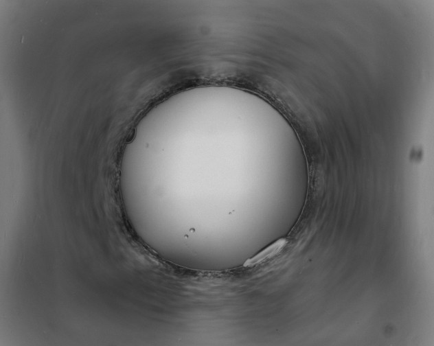 X0000101691153200807241403