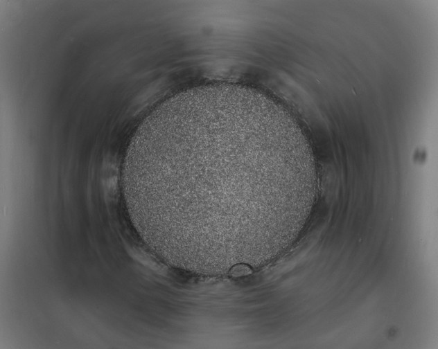 X0000101691154200807241403