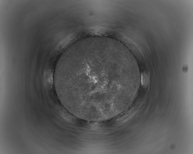 X0000101691155200807241402